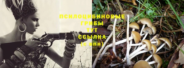 не бодяженный Медногорск