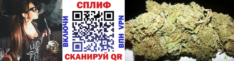 купить   Ялуторовск  Бошки марихуана сатива 